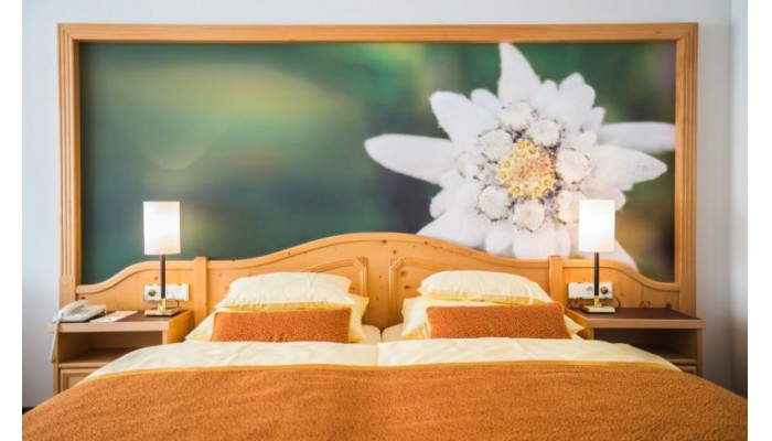 Poza pentru Hotel Europaischerhof 808-1487446006 Hotel Europaischerhof poza 3