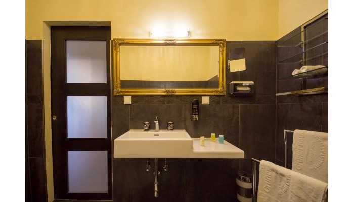 Seehotel Gruener Baum poza 16