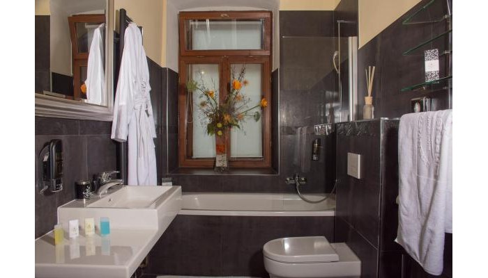 Seehotel Gruener Baum poza 21