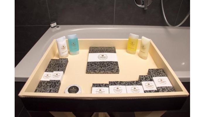 Seehotel Gruener Baum poza 12