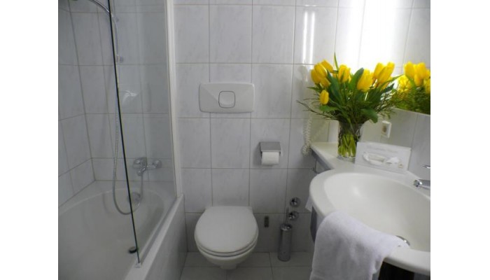 Poza pentru Hotel Alpinpark 575-1540215121 Hotel Alpinpark poza 6