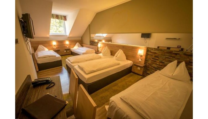 Hotel Dollinger poza 9