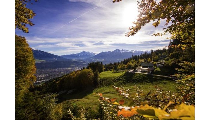 Hotel Eagles Inn poza 0