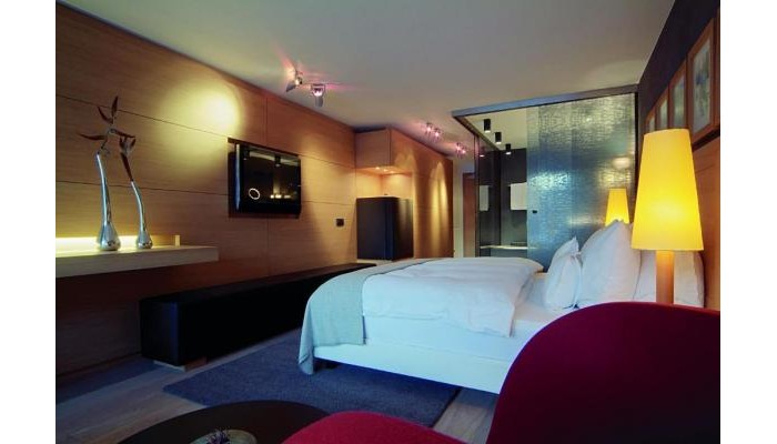 Hotel Madlein poza 12