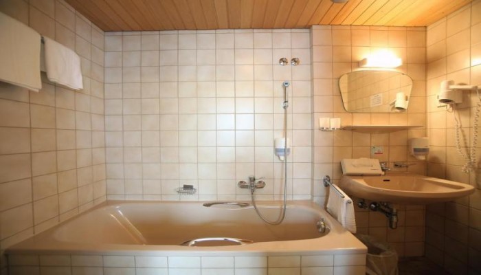Aktivhotel Weisser Hirsch poza 4