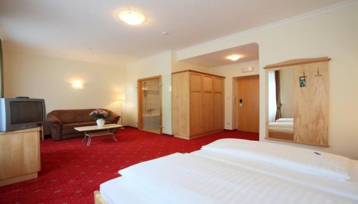 Aktivhotel Weisser Hirsch poza 10