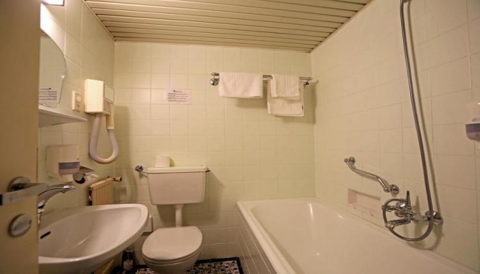 Aktivhotel Weisser Hirsch poza 8