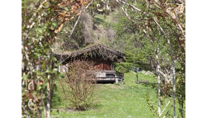 Poza pentru Parkhotel Matrei 9219-1570698195 Parkhotel Matrei poza 10