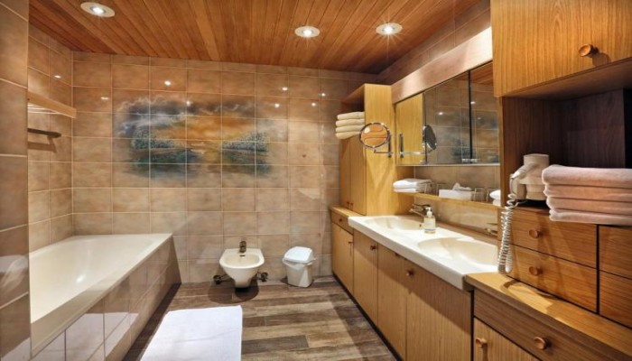 Poza pentru Aktivhotel Waldhof 653-1505314151 Aktivhotel Waldhof poza 8