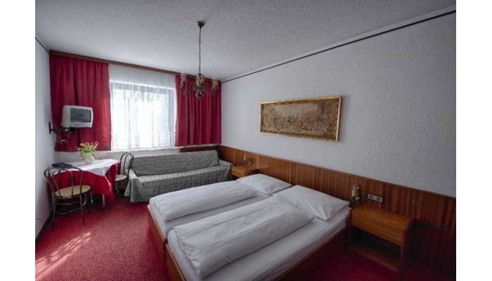 Hotel Sophienalpe poza 3