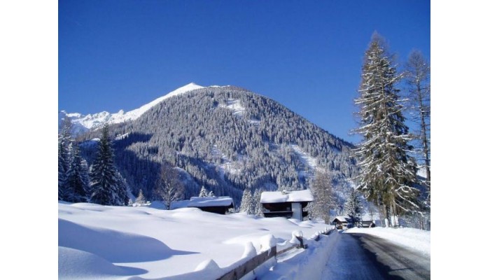 Hotel Appartementhaus Zur Loipe poza 1