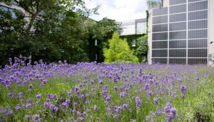 Boutiquehotel Stadthalle poza 1