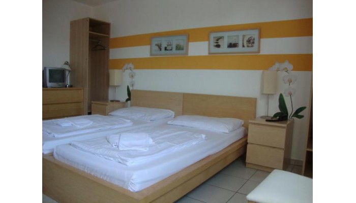 Hotel Lenas Donau poza 6