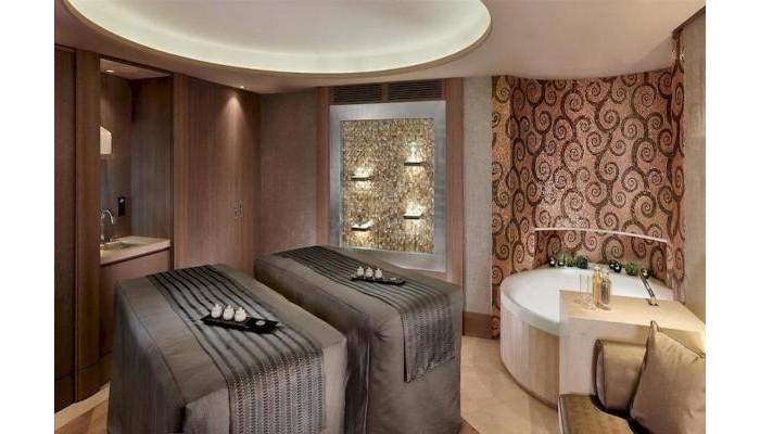 Hotel Park Hyatt Vienna poza 4