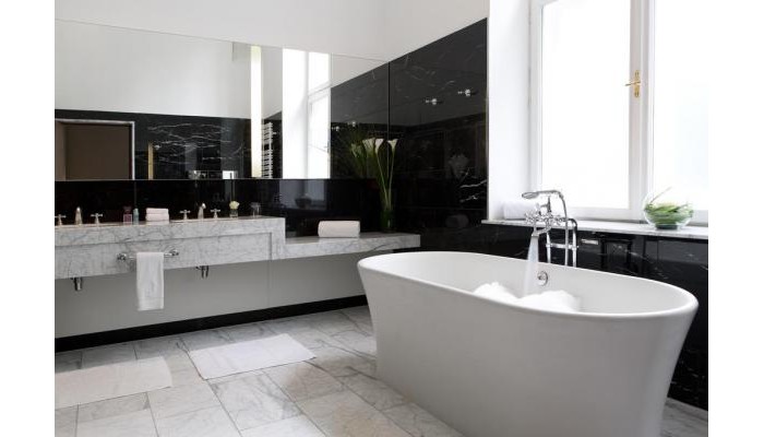 Hotel The Ritz-carlton poza 11