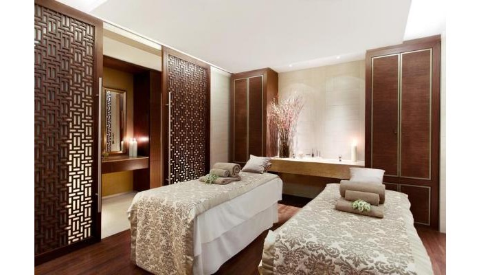 Hotel The Ritz-carlton poza 16