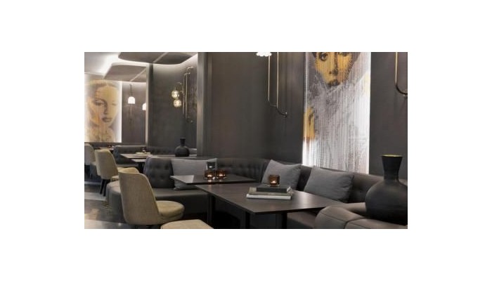 Renaissance Wien Hotel poza 12