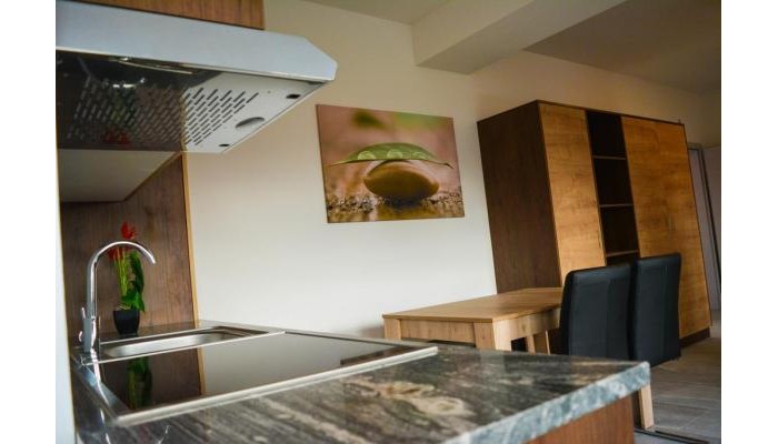 Wels Inn Hotel poza 8