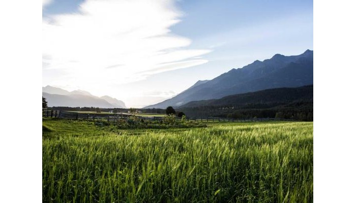 Landhotel Jaeger poza 3