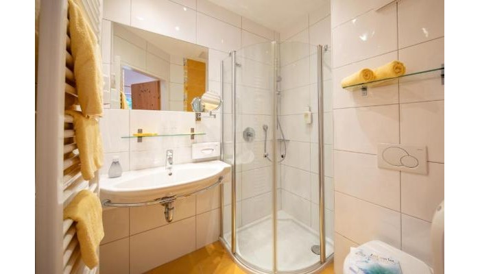 Hotel Der Schmittenhof poza 7