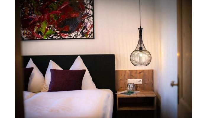 Hotel Der Schmittenhof poza 1