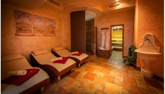 Hotel Der Schmittenhof poza 14